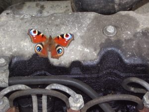Op naar de leesbare straat